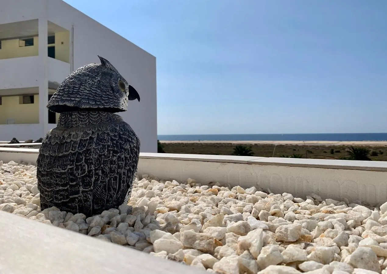 Vivienda Gorrion Apartment Morro Jable